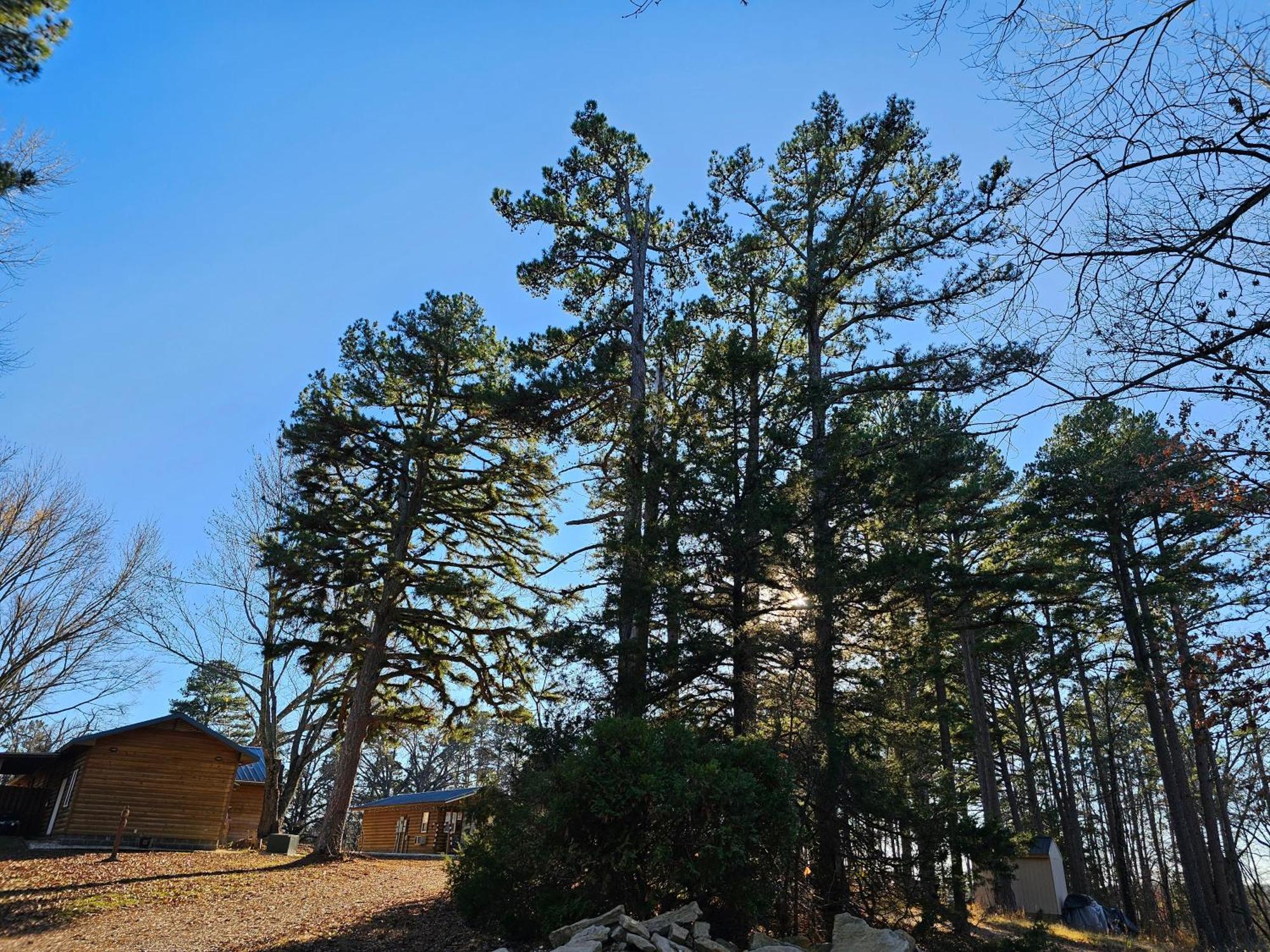 5 Min To Beaver Lake-King Bed-Fire Pit-Jetted Tub #3 유레카 스프링스 외부 사진