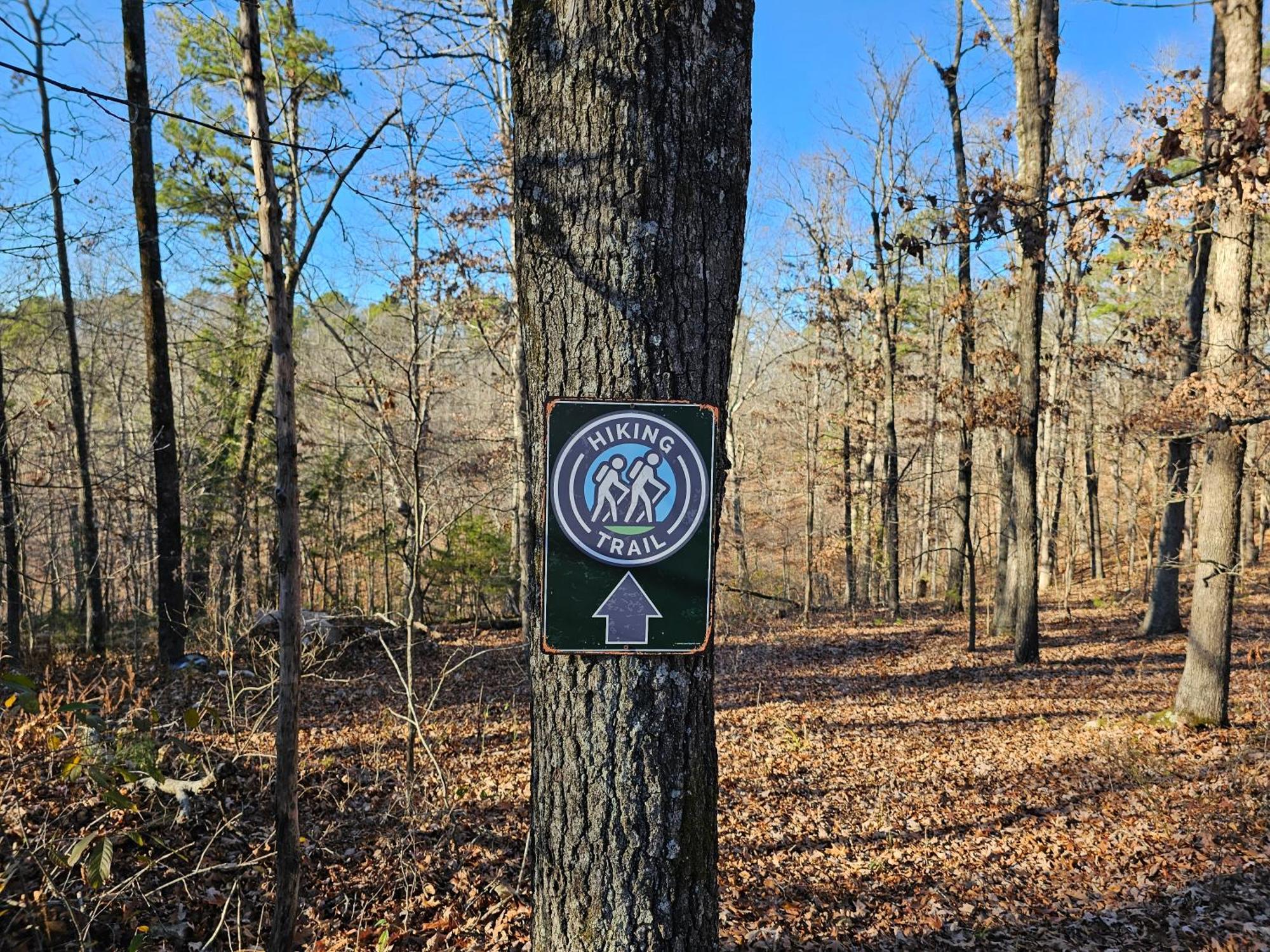 5 Min To Beaver Lake-King Bed-Fire Pit-Jetted Tub #3 유레카 스프링스 외부 사진